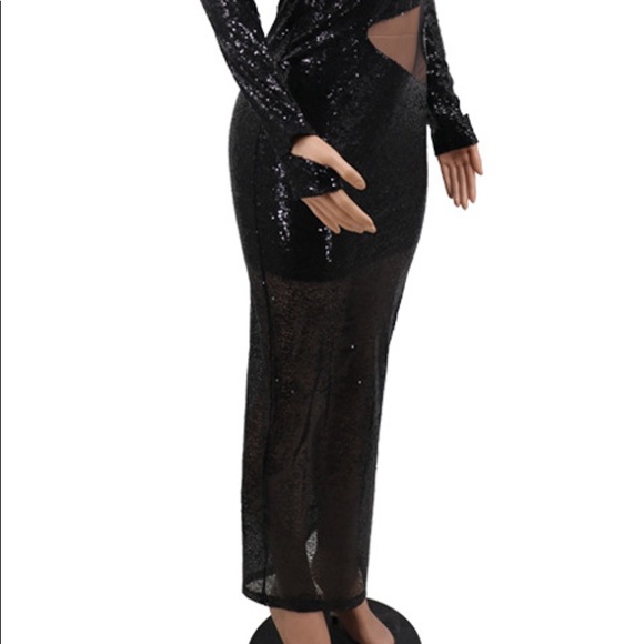 Plus Size Mesh Splice Sequin Dress - Picture 5 of 5